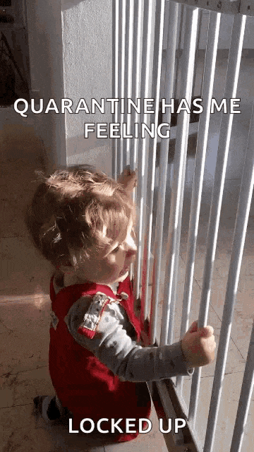 image gif quarantine blog entry society in times of crisis